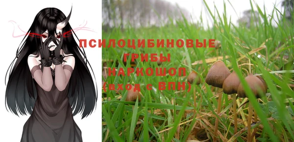 винт Липки