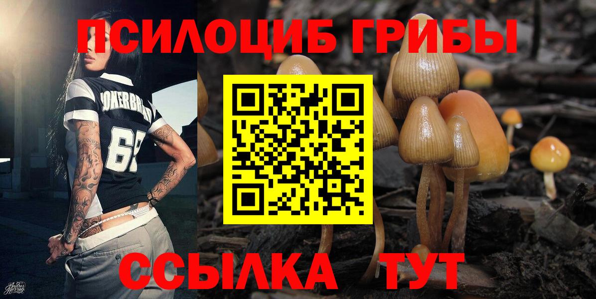 Псилоцибиновые грибы GOLDEN TEACHER  Вход с VPN  магазин  наркотиков  Коломна 